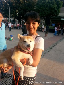 shiba inu bgc art mart