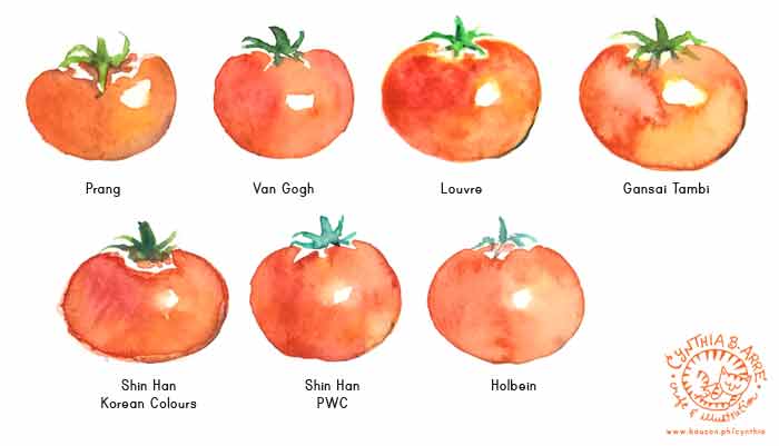 Watercolor Comparison Chart